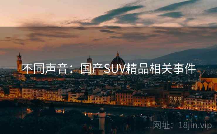 不同声音：国产SUV精品相关事件