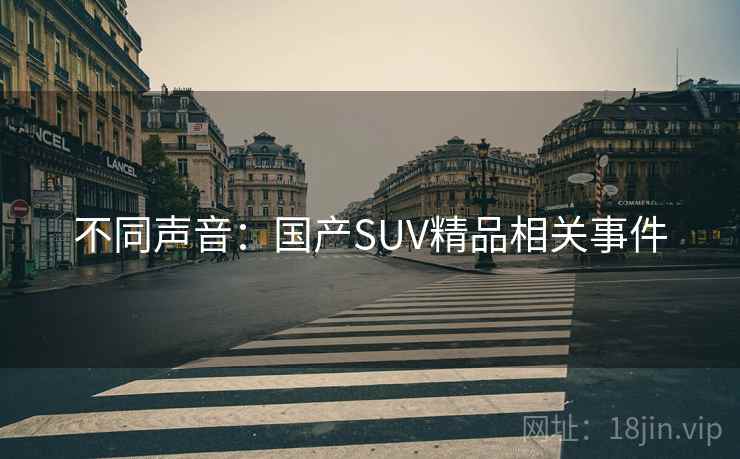 不同声音：国产SUV精品相关事件