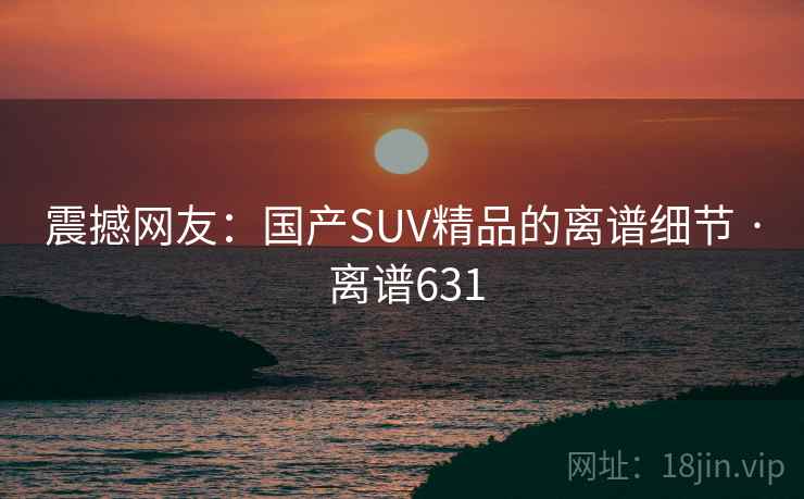 震撼网友:国产SUV精品的离谱细节 · 离谱631
